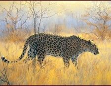lrsAfrica07DonaldsonKim WinterMorningLeopard. , 