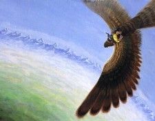 grrp 01-Bilbo Flies on Eagles Wings. Renshof,   Ploeg, 