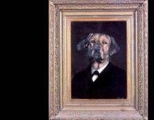 dog portraits csg049 emile de snide. �������, ������