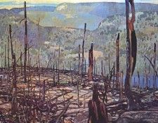 johnston fire-swept, algoma 1920. ��������