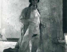 Image 304. ��������, �������