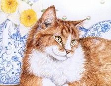 kb Cook Debbie 2001 08. ���, �����