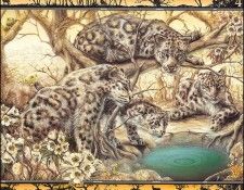 lrsBaseGraeme Waterhole04SnowLeopards. , 