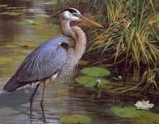 lrs Seerey Lester Lone Fisherman. Seerey- 