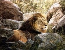 Ae 28 Serengeti Monarch Simon Combes sqs. , 