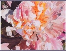 bs-flo- Ann Pember- Piquant Peony. , Ann