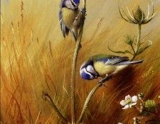 55692. �������, ���������