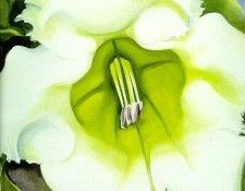 okeeffe14. OKeeeffe, 