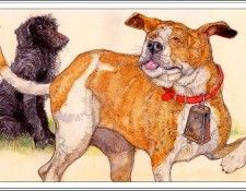 bs JerryPinkney TheTroublesomeDog. �����, ������