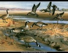 cr MaynardReece012. ���, �������