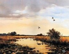 Verstappen Pieter Nature 35. Verstappen, �����