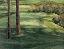 hallowed ground csg012 hazeltine 16th hole. Hartough, �����