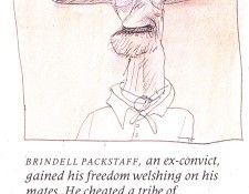 bs GOR 72 Brindell Packstaff. , 