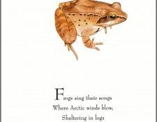 pa TonyOliver FrogsSingSongs 10a. , 