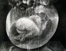 03049. Pignatelli, 