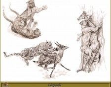 PO pfrd 113 L�opards. Dallet, ������