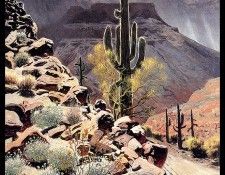 bs-ahp- Jimmy Swinnerton- Giant Sagauro Cactus. , 