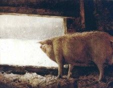 File8965. Wyeth, 