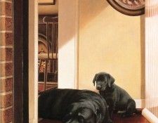 Ipl 0007 In Retirement NigelHemming sqs. �������, ������� � ����� ������