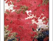 CSCU aping 2k3 wang ke yin 058. ��� ��� ��