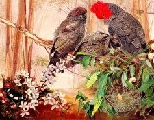 Oz AGls061 Tony Oliver Gang Gang Cockatoo. ������, ����