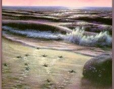 BerenzyAlix-IntoTheSea02-sj. Berenzy, 