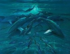 kb Pitre John Pacific Moonrise. ����, ����