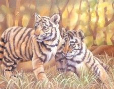 s4-vanishingspecies046-tigercubs. �����, L