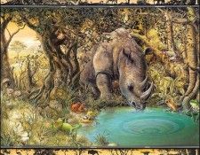 lrsBaseGraeme-Waterhole01Rhino. ����, ����