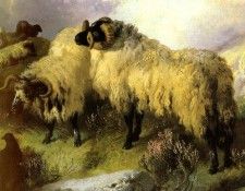 Horlor George W. Highland Scene With Sheep And Grouse. Horlor,  