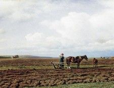  . 1872, , , 71131 .    (1832-1902)