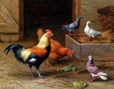 39959. ����, �����