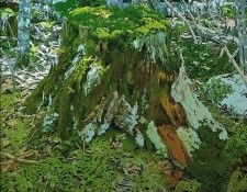 Image 903. ��������, ���