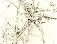 45739. ������, ������� �����