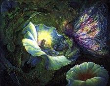 JLM-Josephine Wall 12. , 