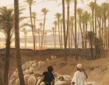 The Palm Grove. ������, ��������