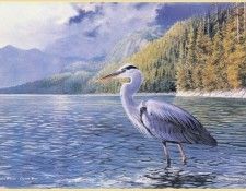 WilsonMarla-Elusive Blue-WeaRSCC. , 