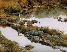 Verstappen Pieter Nature 55 Sun. Verstappen, �����