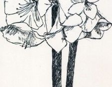 44035. Cathelin 
