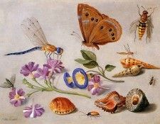 Kessel van Jan sr Still life Sun. �������, �� ���