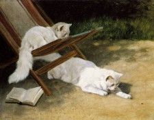 Heyer Arthur Persian cats Sun. , 