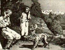 18294. �������, ����