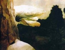 File8978. Wyeth, 