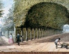 Schouman Aert View of Lindelaan. Schouman, 