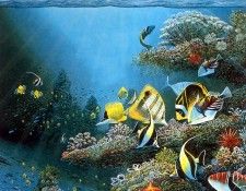 kb RLN Undersea Song. ,  