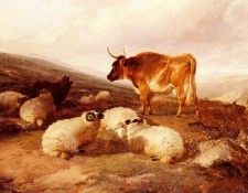 Cooper Thomas Sidney Rams And A Bull In A Highland Landscape.   