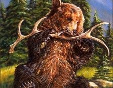 bs-na- Joyce M Arns- Wilderness Toy. ����, ����� M