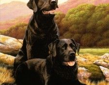 Ipl 0010 Taking a Breather NigelHemming sqs. �������, ������� � ����� ������