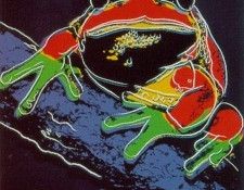 Warhol - Frog. , 