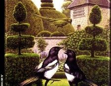 pasdc sbr011 The Blue Rose 1993. ��������, ������